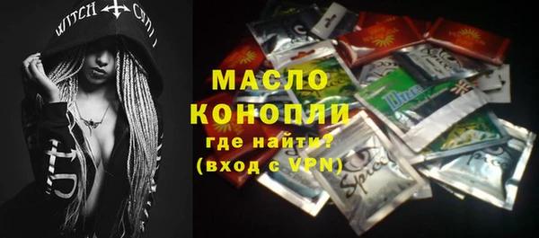 амф Вяземский