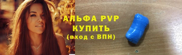 амф Вяземский