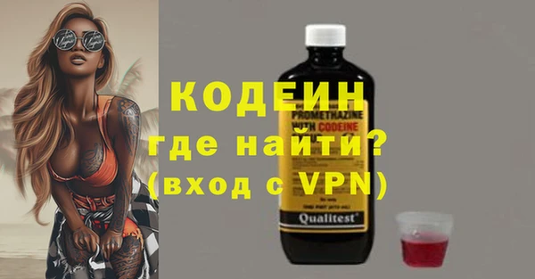 амф Вяземский