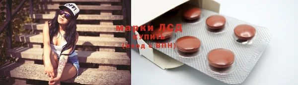 прущие грибы Тайга