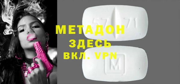 индика Тавда