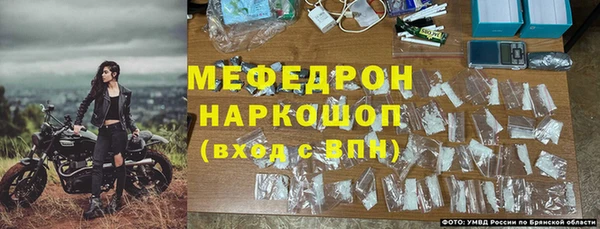 индика Тавда