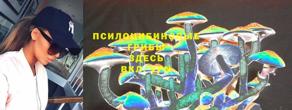 спиды Вязьма