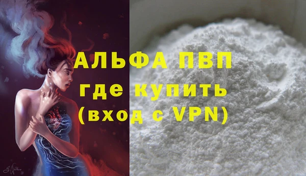 амф Вяземский