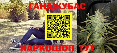 не бодяженный Гай