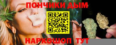 сатива Гатчина