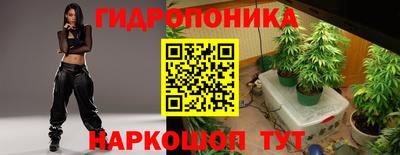 сатива Гатчина