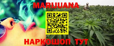 крисы Будённовск