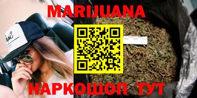 сатива Гатчина