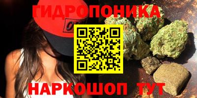 сатива Гатчина