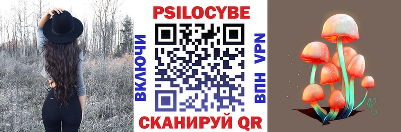 shop Telegram  как найти   Добрянка  Псилоцибиновые грибы Psilocybe 
