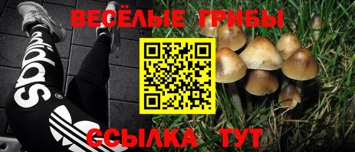 Добрянка  Галлюциногенные грибы Psilocybe  Вход с VPN  Псилоцибиновые грибы Psilocybe 