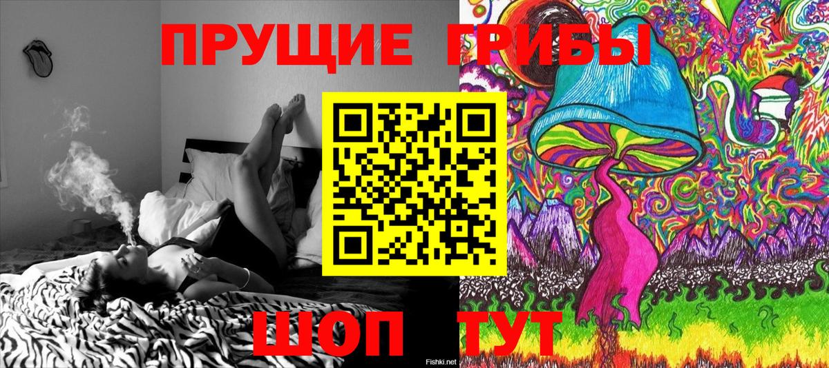 Галлюциногенные грибы Cubensis Добрянка