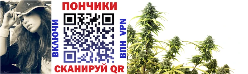 Каннабис OG Kush Добрянка